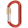 AustriAlpin Ovalo GI Alu Schrauber - Screwgate Carabiner