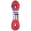 Beal Tiger 10 Mm Golden Dry - Single Rope