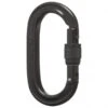 Black Diamond Oval Locker Carabiner - Screwgate Carabiner