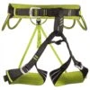 Alpine Flash - Climbing Harness
