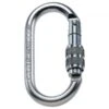 Oval Pro Lock - Steel Carabiner