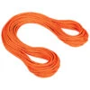 Mammut 9.8 Crag Dry Rope - Single Rope