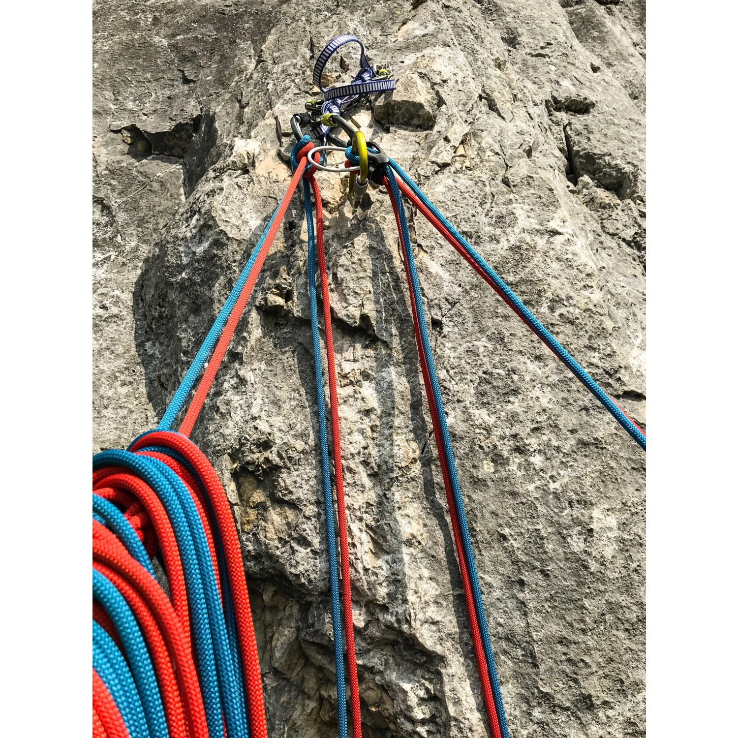 Petzl Rumba 8,0 - Half Rope 2 Petzl Rumba 8,0 - Half Rope - Image 2
